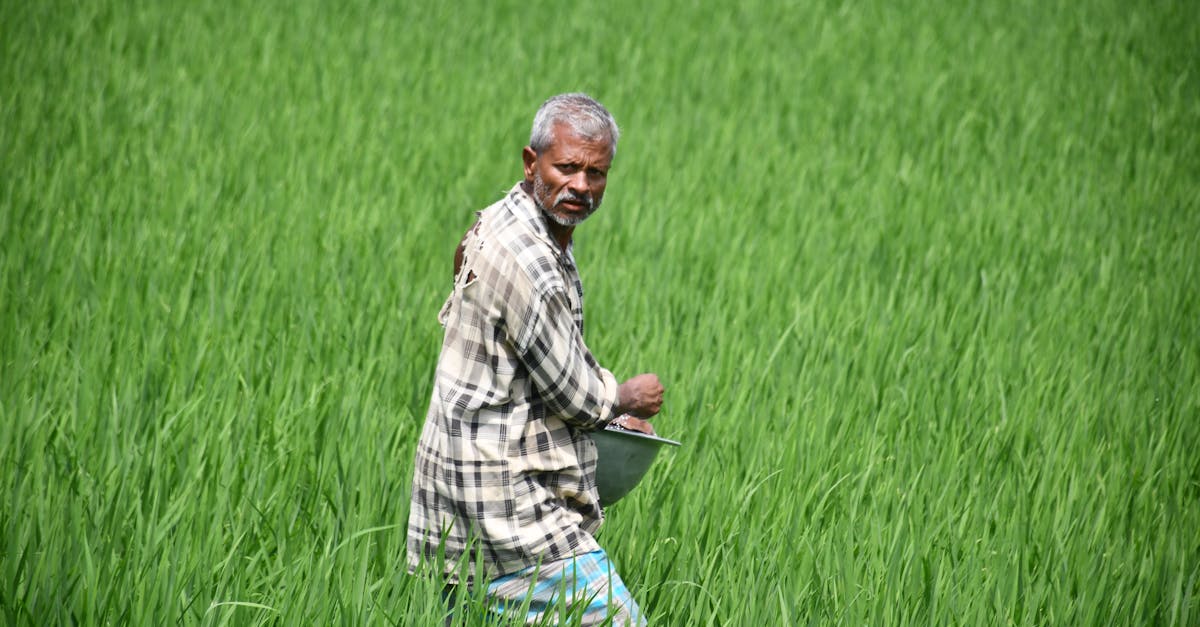 Common Myths About Logbook Servicing Debunked