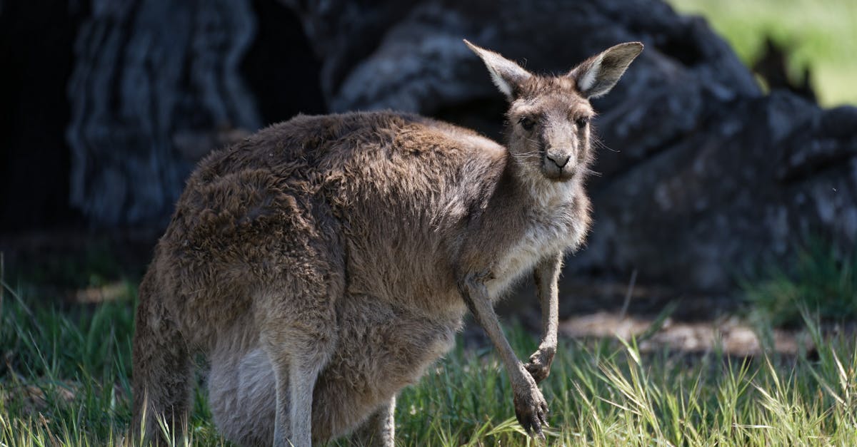 Importance of Asking for a Detailed Estimate Before Service