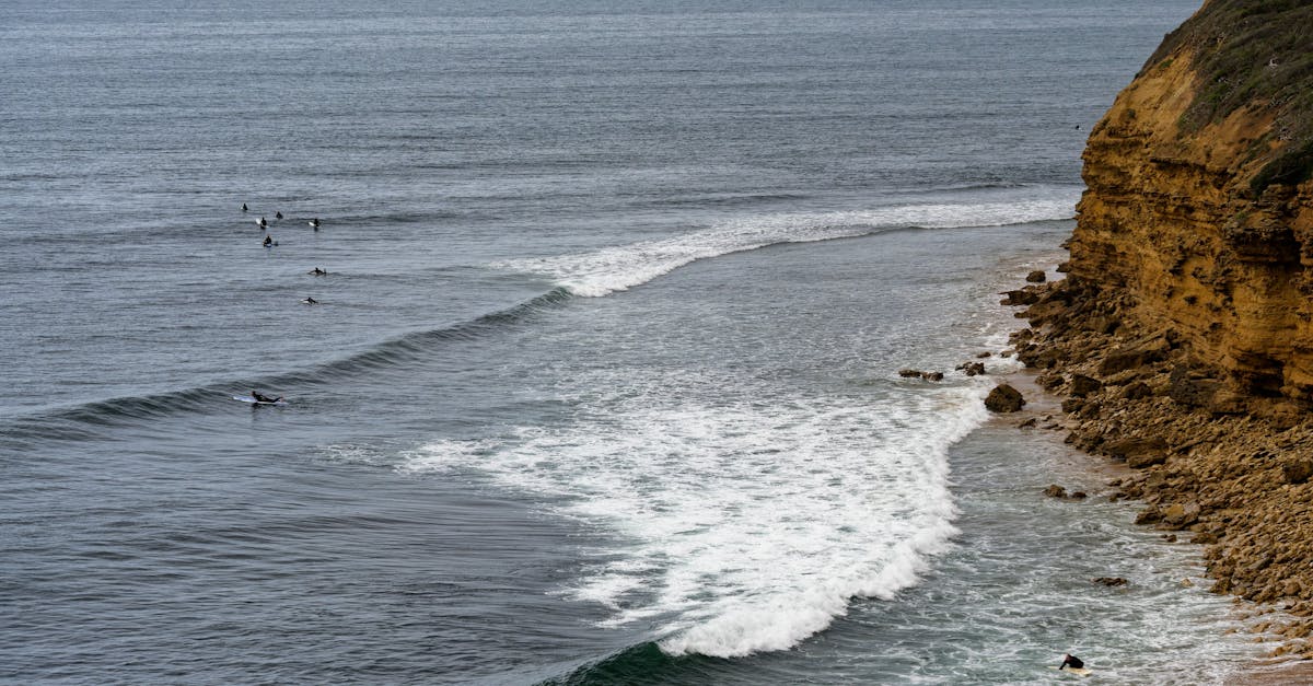 Signs That Indicate Your Brake System Needs Immediate Attention