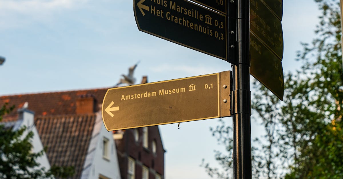 The Role of Suspension in Vehicle Safety and Comfort