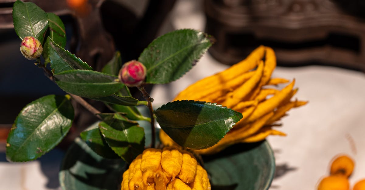 Understanding the Basics of Car Fluid Checks